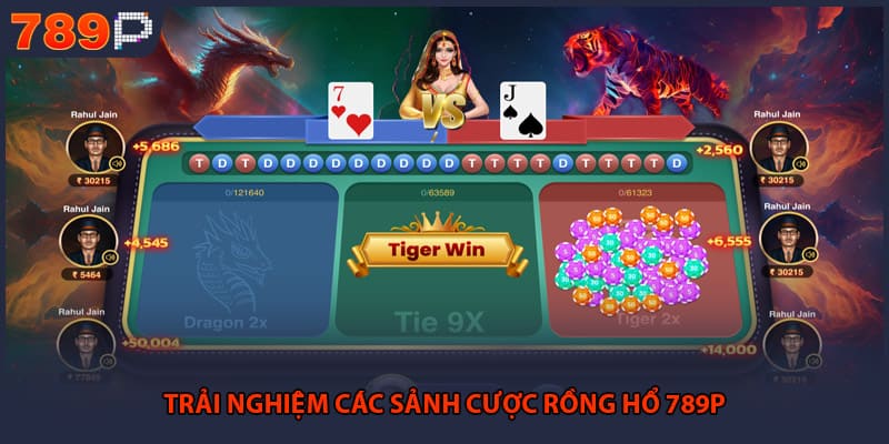 Rồng Hổ 789P - Phương Pháp Chơi Và Bí Kíp Thắng Lớn 1 Trải nghiệm các sảnh cược rồng hổ 789P